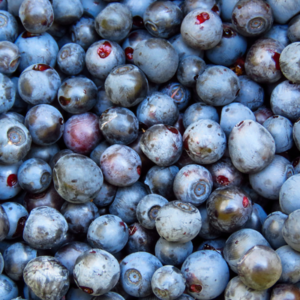 Ekstrakt z&nbsp;jagód Açaí